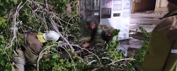 Работа спасателей МЧС Бухары в экстремальных условиях Работа спасателей МЧС Бухары в экстремальных условиях - Sputnik Ўзбекистон