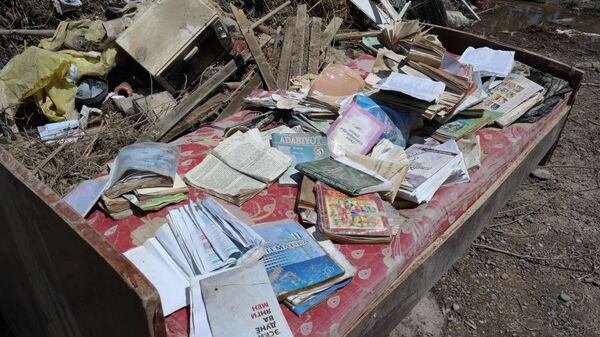 От хаоса и грязи к надежде и сплоченности: Сардоба приходит в себя после ЧС - Sputnik Узбекистан