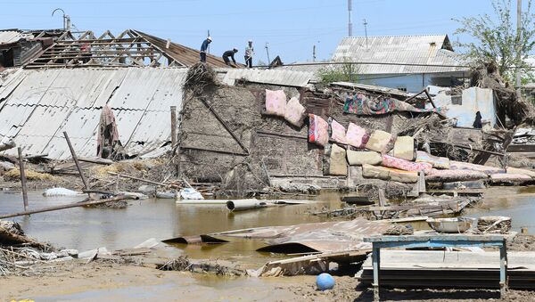 Последствия наводнения в Сырдарьинской области - Sputnik Узбекистан