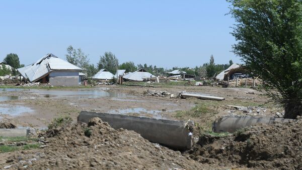 Населенные пункты, пострадавшие от наводнения в Сырдарьинской области - Sputnik Узбекистан
