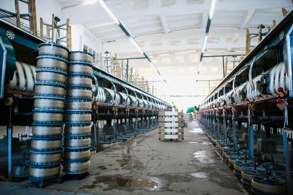 Шелковый карантин и маски для Франции: как фабрика в Бухаре борется с эпидемией Шелковый карантин и маски для Франции: как фабрика в Бухаре борется с эпидемией - Sputnik Узбекистан