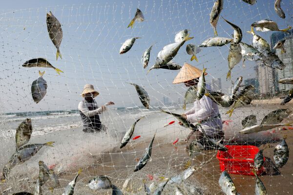 Рыбаки в Дананге, Вьетнам - Sputnik Узбекистан