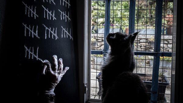 Человек, за которым наблюдает его кошка, отмечает мелом дни, проведенные в самоизоляции дома под Лионом, Франция - Sputnik Узбекистан