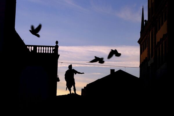 Голуби летают над ратушной площадью незадолго до восхода солнца в Аугсбурге, Германия - Sputnik Узбекистан