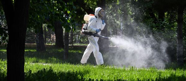 Сотрудник коммунальной службы дезинфицируют общественные пространства Сотрудник коммунальной службы дезинфицируют общественные пространства - Sputnik Узбекистан