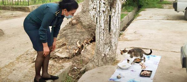 ГУВД призывает жителей столицы к гуманному обращению с животными, в особенности в непростой период карантина - Sputnik Узбекистан