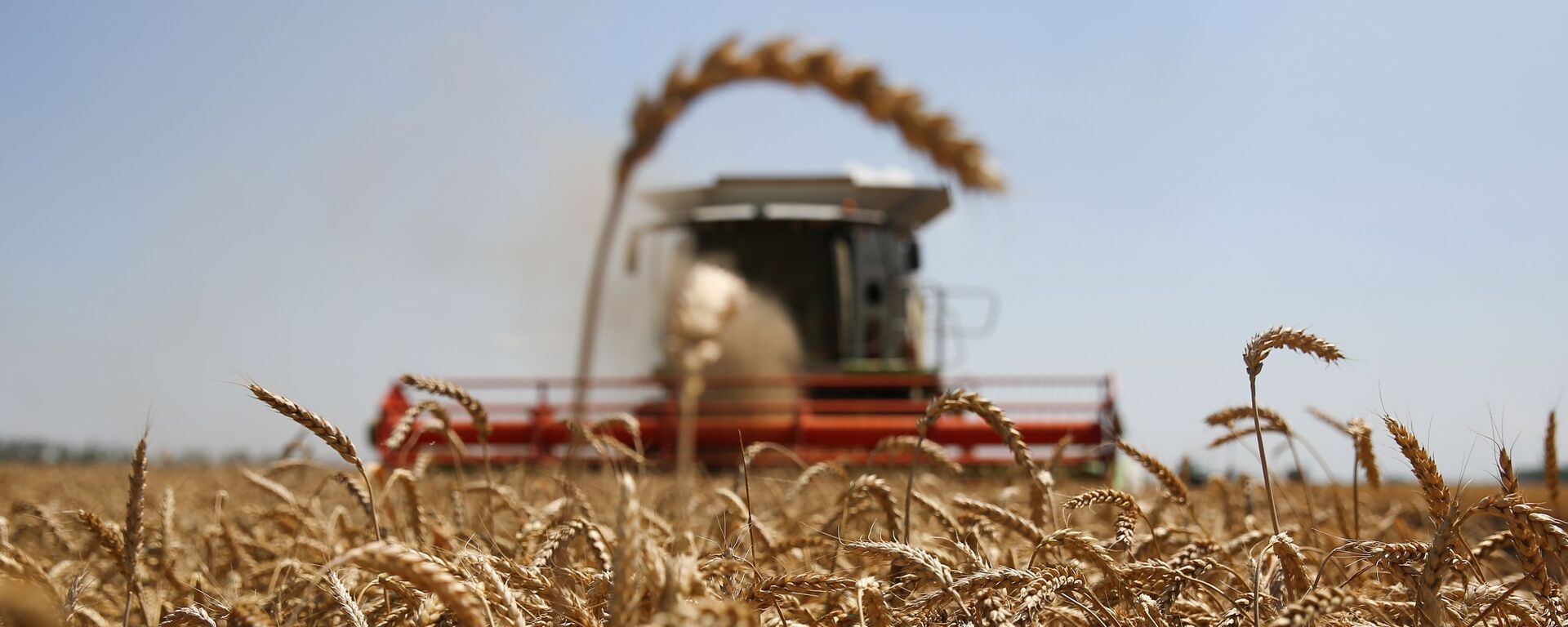 Уборка пшеницы в Краснодарском крае - Sputnik Ўзбекистон, 1920, 20.03.2026