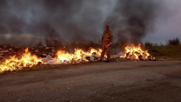 МЧС объяснило фото с сжигаемыми вещами в Сырдарьинской области - Sputnik Узбекистан