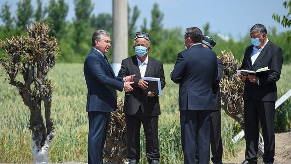 Шавкат Мирзиёев посетил хозяйство Кухна водий бахори в Алтынкульском районе Андижаской области - Sputnik Узбекистан
