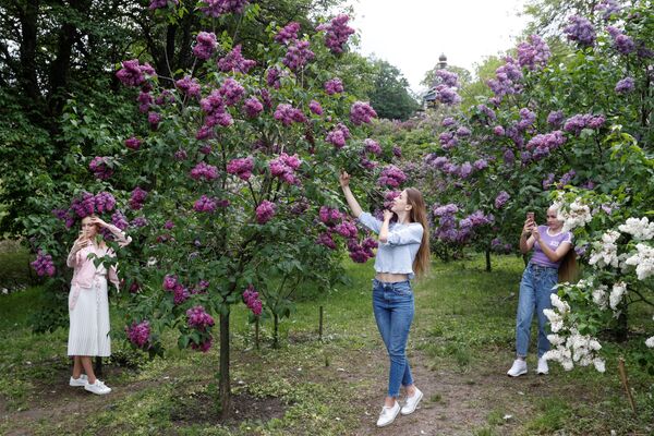 Девушки около цветущей сирени в парке в Киеве, Украина. - Sputnik Узбекистан
