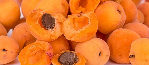 Абрикосы Абрикосы - Sputnik Ўзбекистон