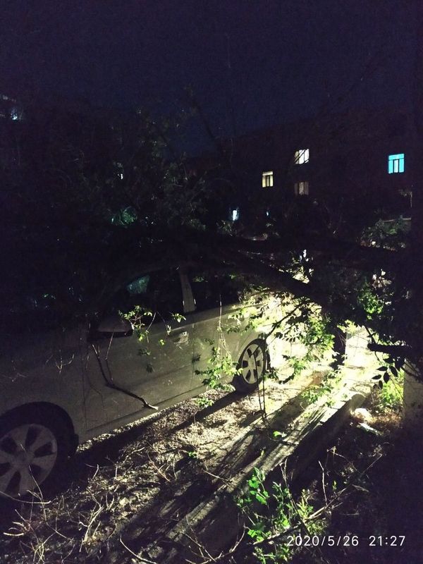 Поваленные деревья и сорванные крыши: последствия сильного ветра в Бухаре — фото - Sputnik Узбекистан