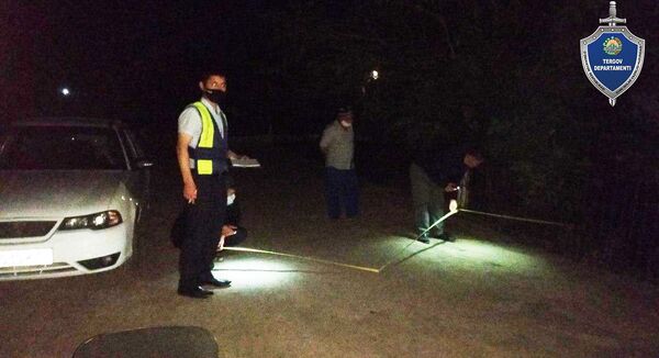 В Кашкадарье произошло смертельное ДТП — погибла пожилая женщина В Кашкадарье произошло смертельное ДТП — погибла пожилая женщина - Sputnik Узбекистан