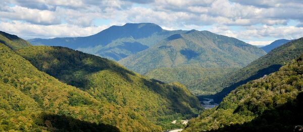 Фестиваль воздушных шаров в Сочи - Sputnik Узбекистан