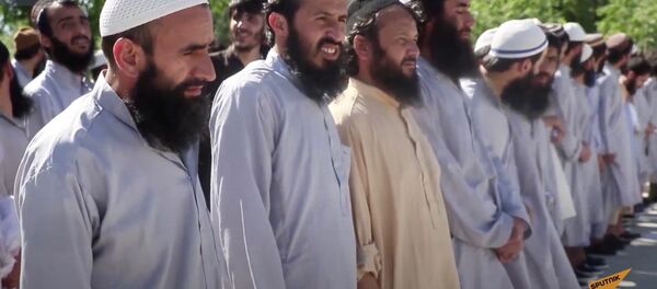 Жест доброй воли: власти Афганистана освободили сотни талибов - Sputnik Узбекистан