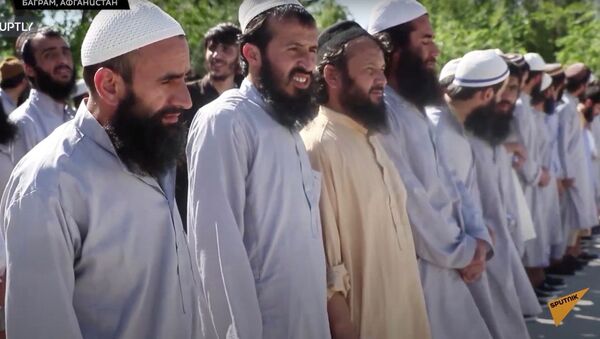 Жест доброй воли: власти Афганистана освободили сотни талибов - Sputnik Узбекистан