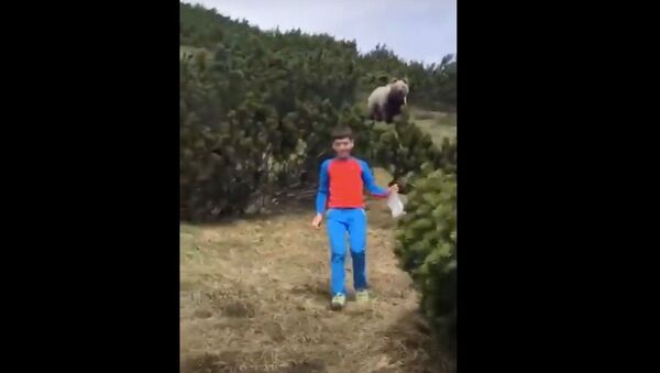 A bear appears behind a child Italy - Sputnik Узбекистан
