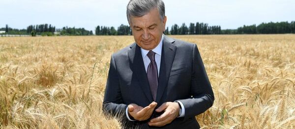 Шавкат Мирзиёев начал рабочую поездку в Фергану Шавкат Мирзиёев начал рабочую поездку в Фергану - Sputnik Ўзбекистон