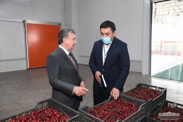 Шавкат Мирзиёев  в Фергане посетил предприятие с сертификатом Global G.A.P - Sputnik Узбекистан
