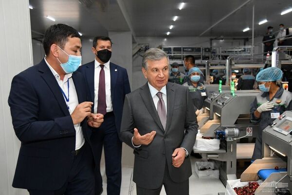Шавкат Мирзиёев  в Фергане посетил предприятие с сертификатом Global G.A.P - Sputnik Узбекистан