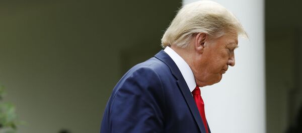 Президент США Дональд Трамп - Sputnik Узбекистан