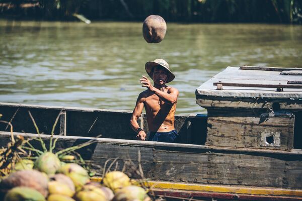 Вьетнамский фермер с кокосами - Sputnik Ўзбекистон