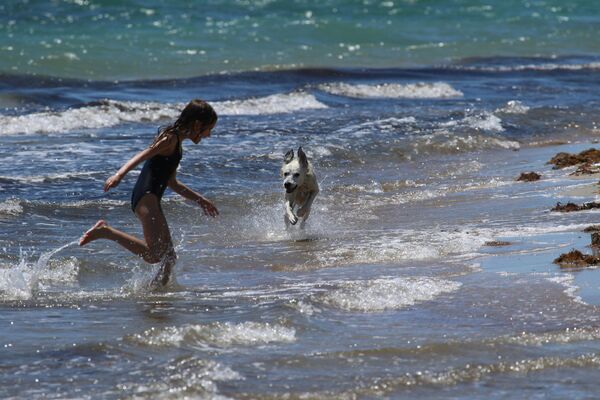 Девочка играет с собакой на пляже в Евпатории, Крым - Sputnik Узбекистан