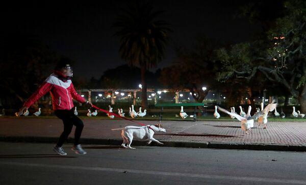 Женщина в защитной маске во время прогулки с собакой в Буэнос-Айресе, Аргентина - Sputnik Узбекистан