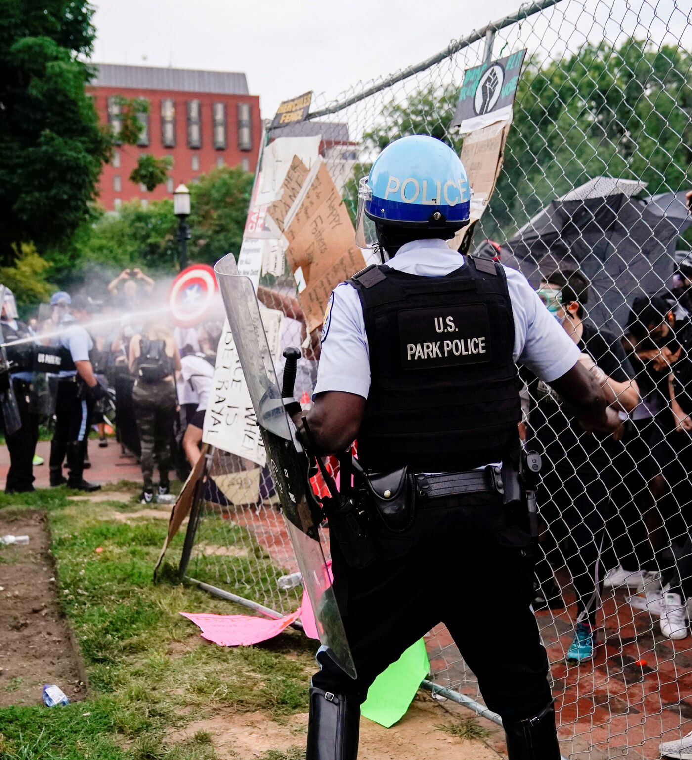 Mushuk shimgichi fotosurati