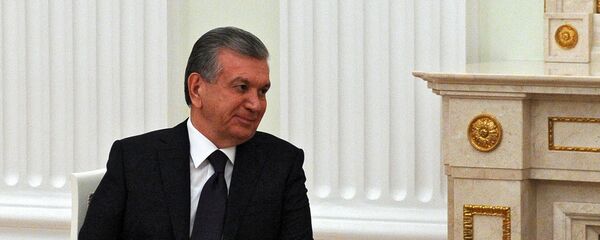 Президент РФ В. Путин встретился с президентом Узбекистана Ш. Мирзиеевым - Sputnik Узбекистан