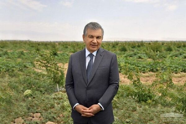 У нас богатая земля: Шавкат Мирзиёев начал рабочую поездку в Наманган - Sputnik Узбекистан