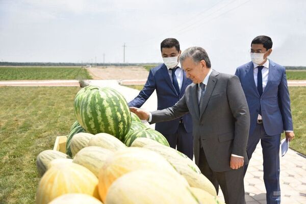 У нас богатая земля: Шавкат Мирзиёев начал рабочую поездку в Наманган - Sputnik Узбекистан