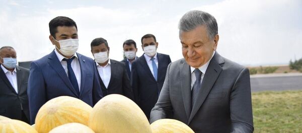 У нас богатая земля: Шавкат Мирзиёев начал рабочую поездку в Наманган - Sputnik Узбекистан