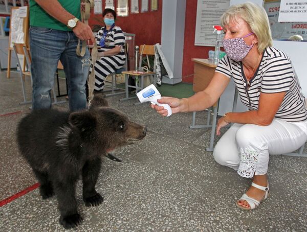 В России проходит заключительный день голосования по поправкам к Конституции - Sputnik Узбекистан