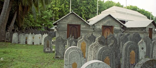 Мусулмонлар қабристони. XV аср. Мусулмонлар қабристони. XV аср. - Sputnik Ўзбекистон