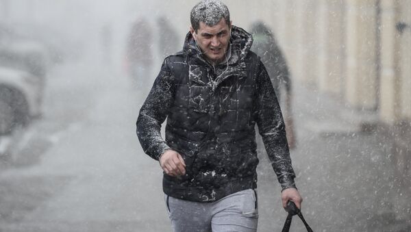 Прохожий на улице во время снегопада - Sputnik Узбекистан