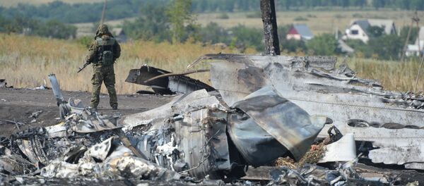 Ополченец охраняет место крушения малайзийского Boeing 777 - Sputnik Узбекистан