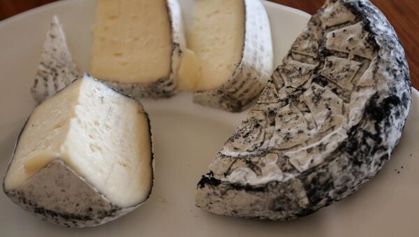 Готовый сыр с благородной плесенью, аналог сыра камамбер - Sputnik Узбекистан