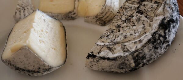 Готовый сыр с благородной плесенью, аналог сыра камамбер - Sputnik Узбекистан