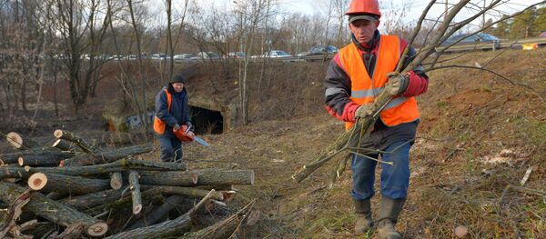 Сотрудники коммунальных служб обрезают деревья - Sputnik Ўзбекистон