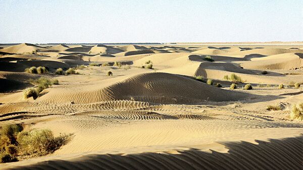 Пески пустыни Кызылкум - Sputnik Узбекистан