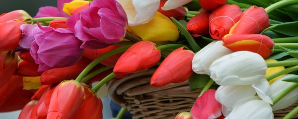 8-март Халқаро хотин-қизлар байрами. 8-март Халқаро хотин-қизлар байрами. - Sputnik Ўзбекистон