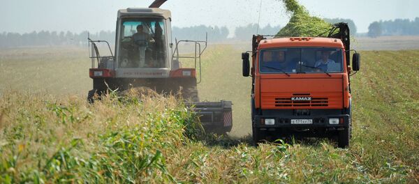 Заготовка сена и зеленой массы на полях ОАО Совхоз Акбашевский Заготовка сена и зеленой массы на полях ОАО Совхоз Акбашевский - Sputnik Ўзбекистон