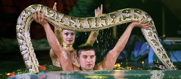 Артист Московского цирка на воде Денис Кустов Артист Московского цирка на воде Денис Кустов - Sputnik Узбекистан