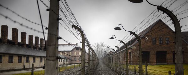 Концентрационный лагерь Аушвиц-Биркенау в Освенциме - Sputnik Узбекистан