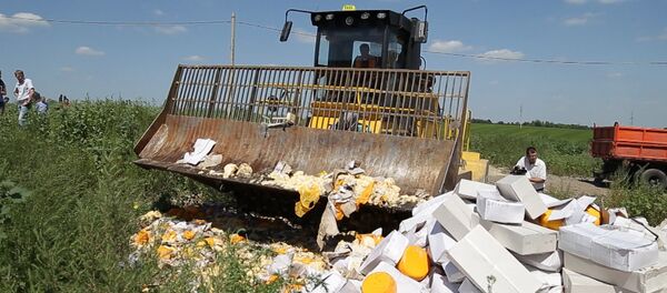 Экскаватор против еды: как уничтожили девять тонн сыра под Белгородом - Sputnik Узбекистан