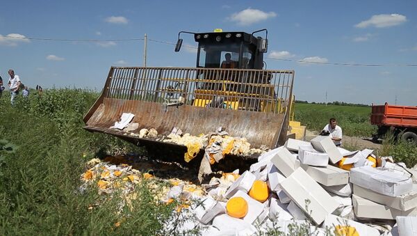 Экскаватор против еды: как уничтожили девять тонн сыра под Белгородом - Sputnik Узбекистан