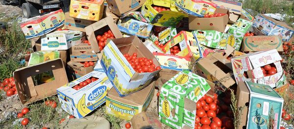 Уничтожение санкционной продукции Уничтожение санкционной продукции - Sputnik Узбекистан