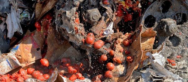 Россияда санкция қилинган озиқ овқат маҳсулотлари шу тариқа йўқ қилинади Россияда санкция қилинган озиқ овқат маҳсулотлари шу тариқа йўқ қилинади - Sputnik Ўзбекистон