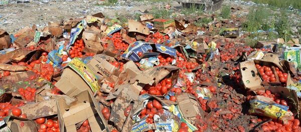 Россияда санкция қилинган маҳсулотларнинг йўқ қилиниши. Россияда санкция қилинган маҳсулотларнинг йўқ қилиниши. - Sputnik Ўзбекистон